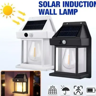 Motion Sensor Solar Lamp – Multicolor Outdoor Security & Garden Light