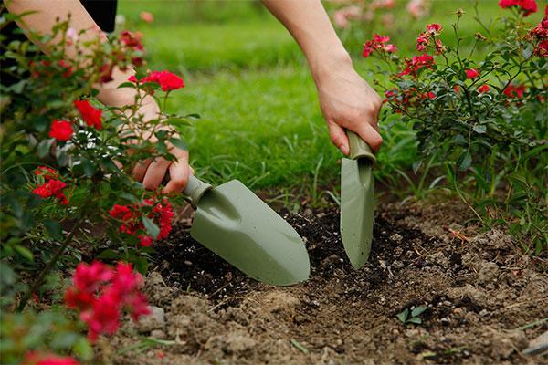 Durable Stainless Steel Garden Shovel – Rust-Resistant Easy-Grip Hand Tool (Green, 1 Pc)