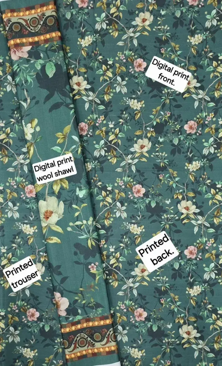 3 Pcs Women’s Unstitched Printed Dhanak & Chiffon Suit – Digital Print Shirt, Plain Trouser & Printed Dupatta (2.5m Each, Multicolor)