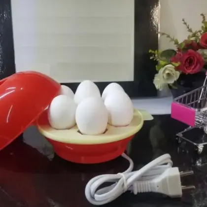 Buy Premium Electric Egg Boiler Online Pakistan